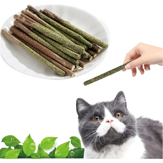 tural Silvervine Catnip Chew Sticks 12 PC Edible Dental Chews for Cats Kittens Teething Relief Teeth Cleaning Toys