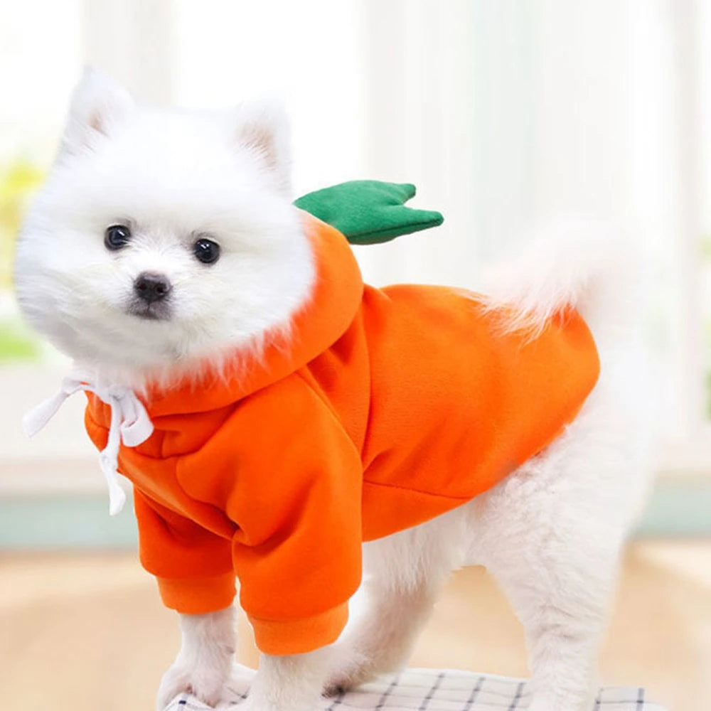 GuangdongHign Cute Fruit Dog Hoodies Fleece Coat