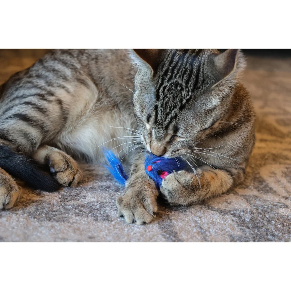 24 Piece Assorted Cat Toy Set Interactive Fun Toys for Indoor Cats Engaging Exercise Variety Pouncing Chasing Playtime