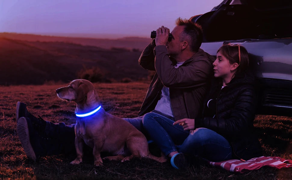 MASBRILL LED Dog Collar Luminous Pet Supplies Dog Collar Waterpoof Safety Glow Necklace Flashing Lighting Up Collars Accessories