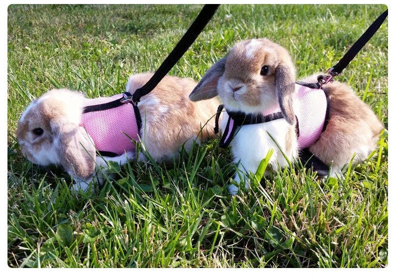 Rabbit Harness and Leash Set Bunny Pet Accessories Vest Harnesses Rabbit Leashes for Outdoor Walking Pets Supplies