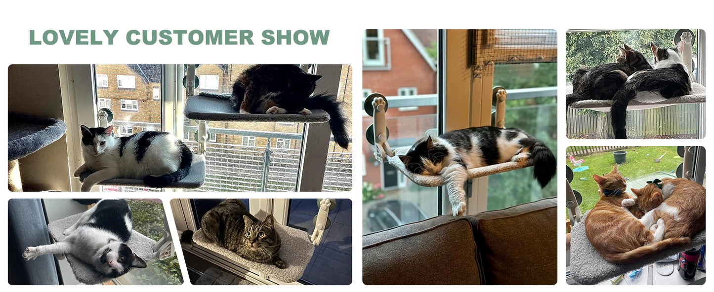 Mewoofun Foldable Cat Window Hammock Bed Strong Suction