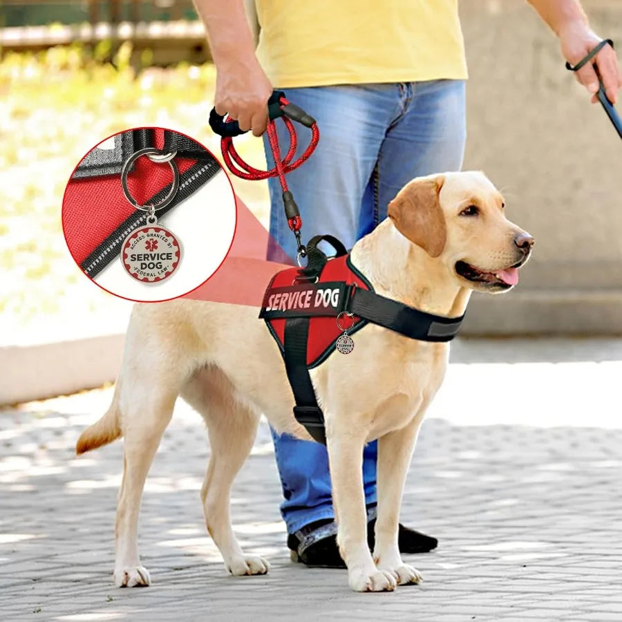 High-concerned Service Dog Vest Harness With ID Tag And Leash
