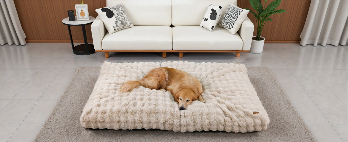 BORWARTCN Ultra Plush Dog Bed Soft Cushion Washable Mat