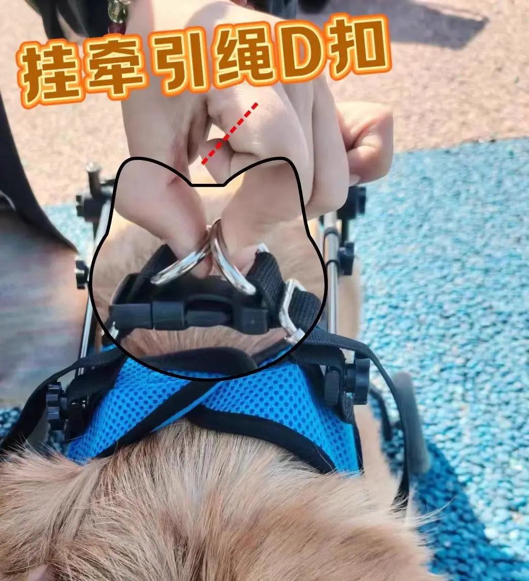 Adjustable Dog Wheelchair For Hind Leg Paralysis Large
