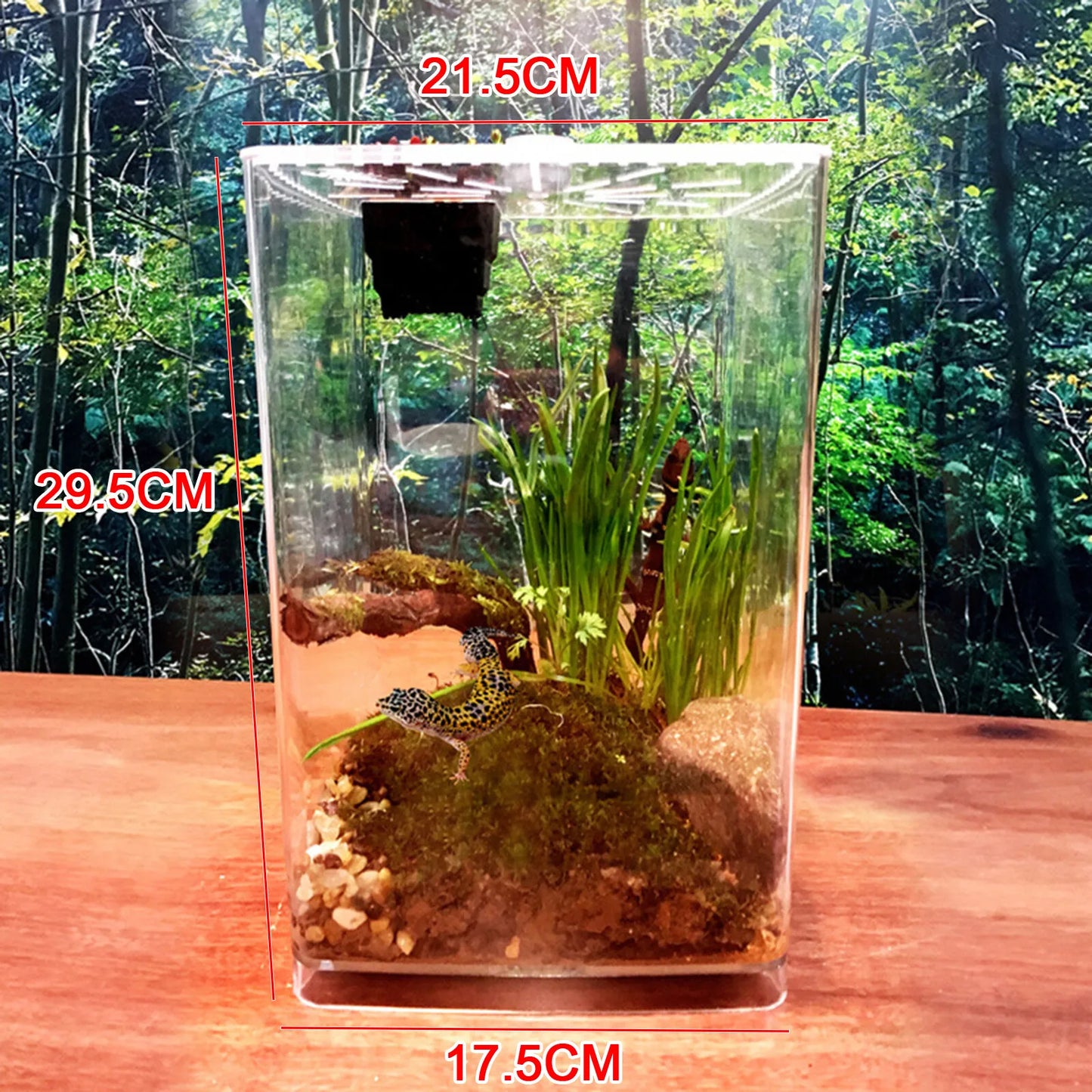 Large Acrylic Reptile Terrarium Gecko Lizard Enclosure