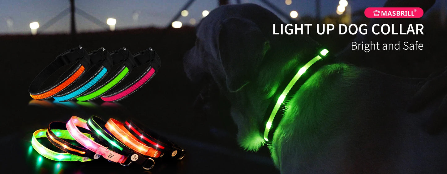 MASBRILL LED Dog Collar Luminous Pet Supplies Dog Collar Waterpoof Safety Glow Necklace Flashing Lighting Up Collars Accessories