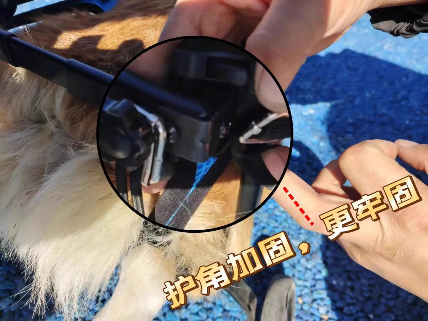 Adjustable Dog Wheelchair For Hind Leg Paralysis Large