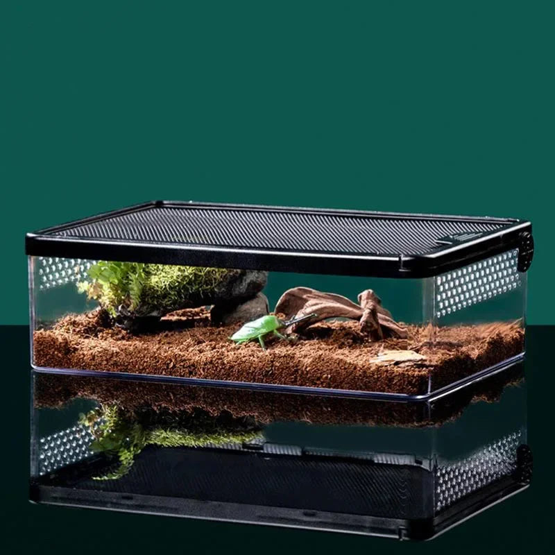 Choice Transparent Reptile Breeding Box For Lizards Insects Beetles Pet Habitat Acrylic