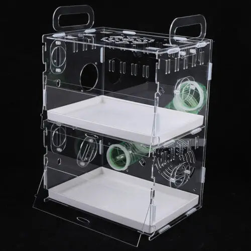 Transparent Double-Layer Small Pet House Cage for Guinea Pigs & Hamsters