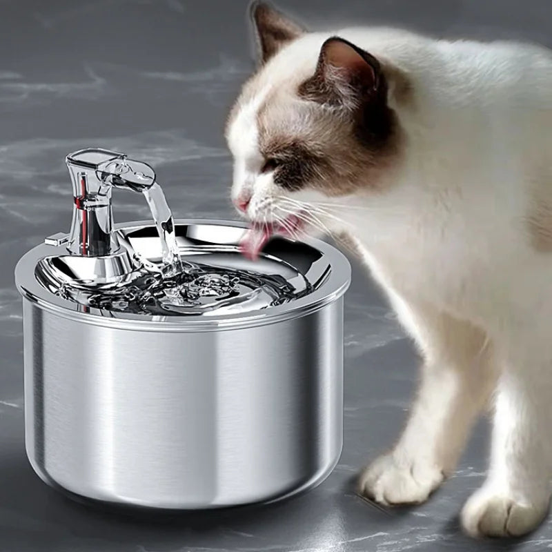 2L Stainless Auto Cat Water Dispenser Fountain With Heater