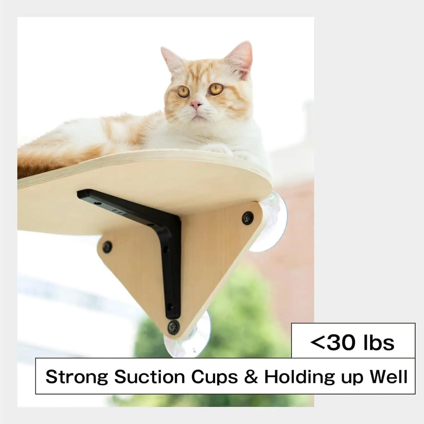 MEWOOFUNCN Cat Window Perch Hammock With Suction Cup Indoor
