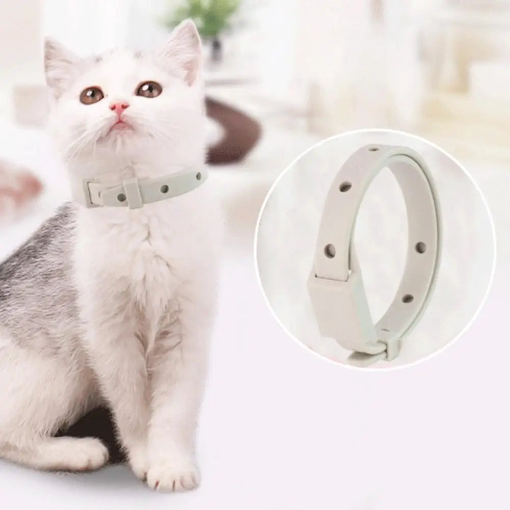 Anti Flea Tick Collar for Cats and Dogs 8 Month Protection