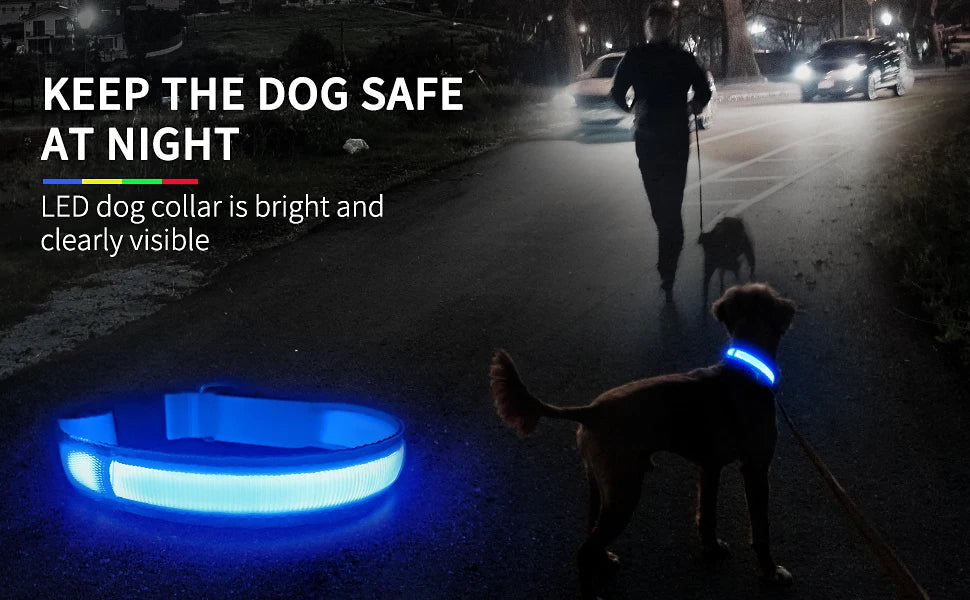 MASBRILL LED Dog Collar Luminous Pet Supplies Dog Collar Waterpoof Safety Glow Necklace Flashing Lighting Up Collars Accessories