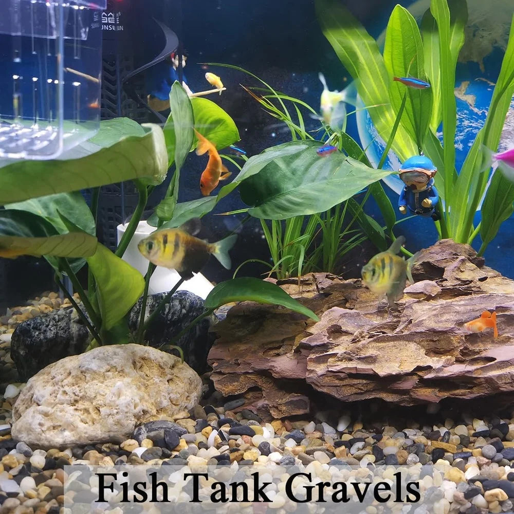 5lbs Pea Gravel Aquarium River Rocks for Plants Fish Tank