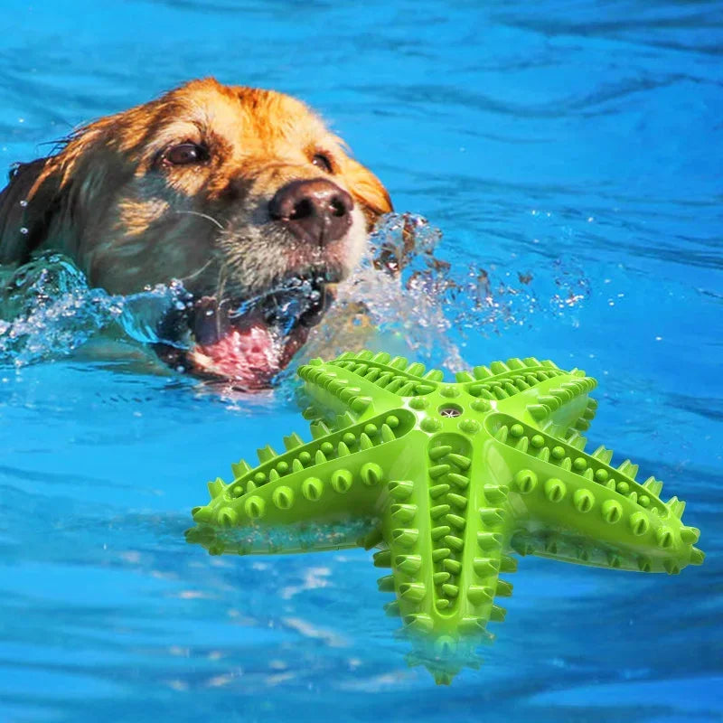 Vocal Starfish Interactive Dog Rubber Ball Dental Toy