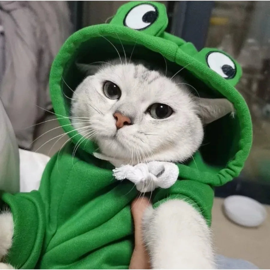 MINISO Cute Frog Design Pet Hoodie Velvet Warm Winter For Dogs And Cats