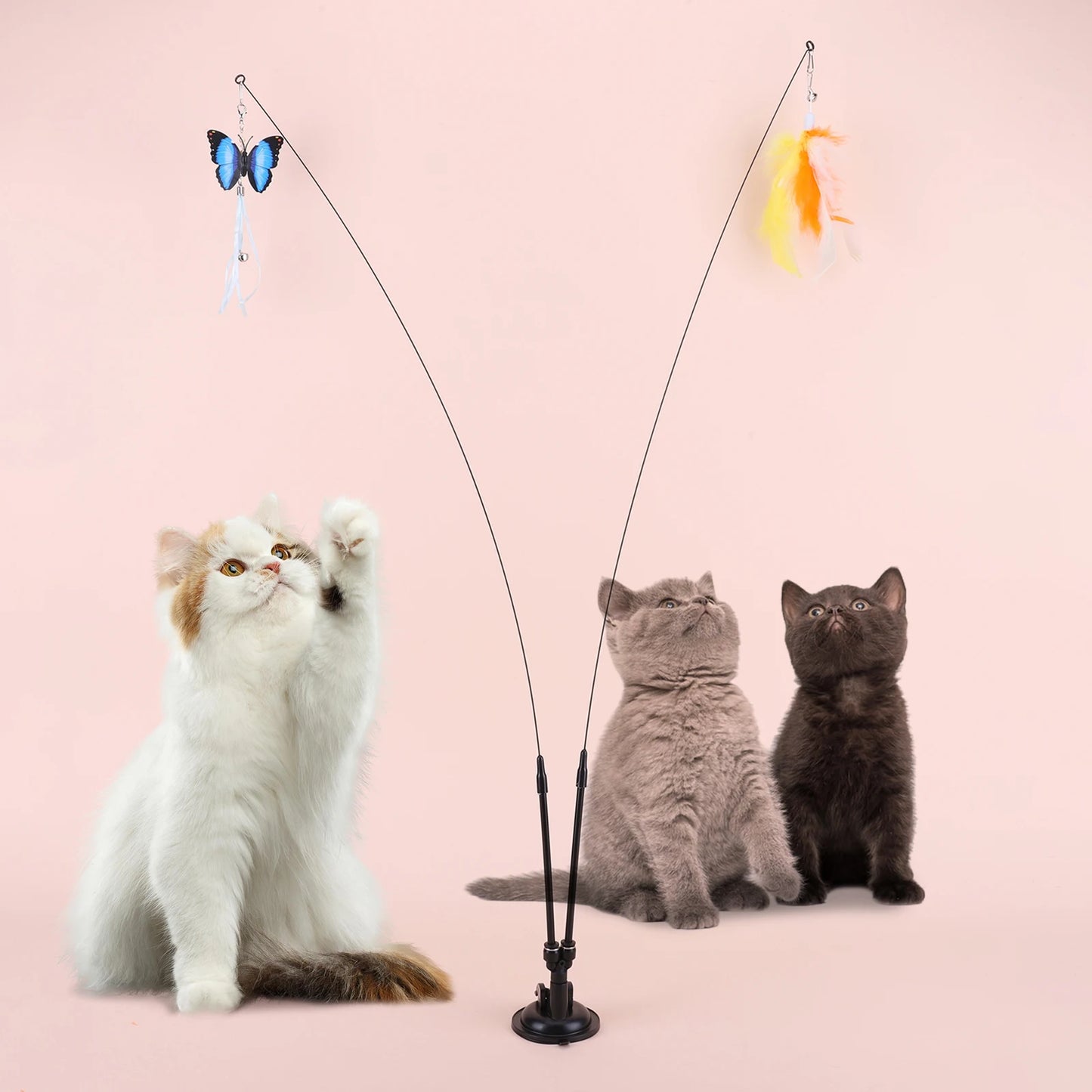 Shunmaii Cat Toy Set With Suction Cup Dual Head Training