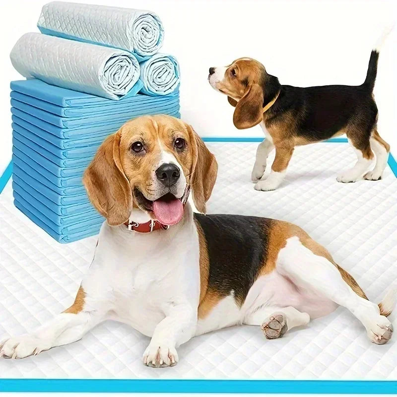 100/50/40/20PCS Absorbent Dogs Diapers Disposable Puppy Training Pee Pads Quick Dry Surface Mat Clean Cushion Dog Supplies