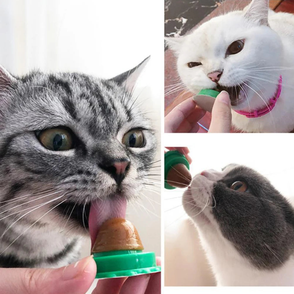 Catnip Wall Ball Lickable Treats Digestion 5 Or 10 Pieces