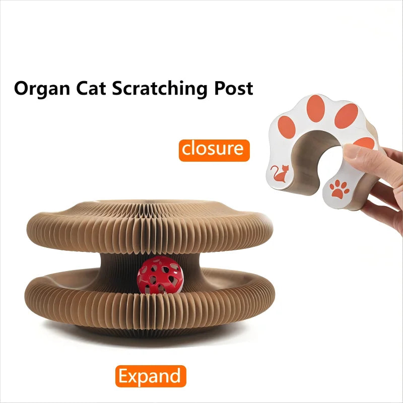 Foldable Cat Scratching Board Toy For Kittens Durable Recyclable Cardboard