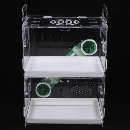 Transparent Double-Layer Small Pet House Cage for Guinea Pigs & Hamsters