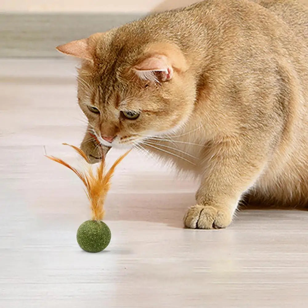 Choice Catnip Feather Balls Lickable Grass Snack Kitten Toys