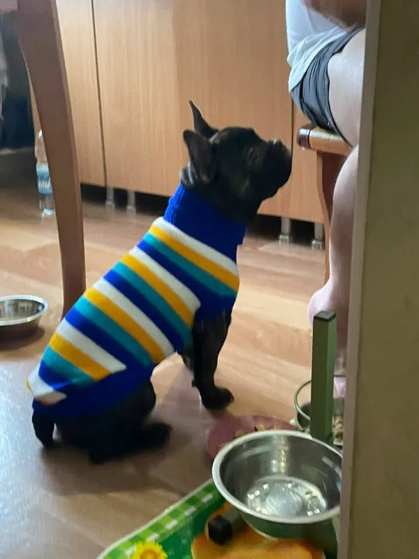 Hubei Dog Winter Sweater Knit Coat For Canine Comfort