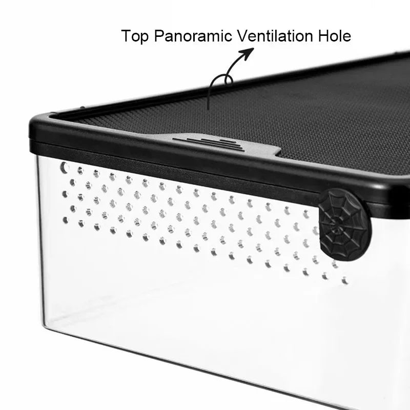 Choice Transparent Reptile Breeding Box For Lizards Insects Beetles Pet Habitat Acrylic