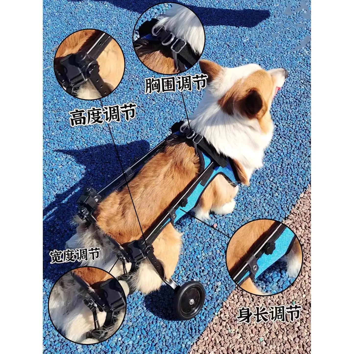 Adjustable Dog Wheelchair For Hind Leg Paralysis Large
