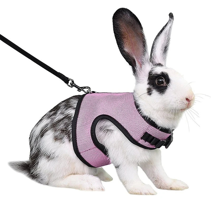 Rabbit Harness and Leash Set Bunny Pet Accessories Vest Harnesses Rabbit Leashes for Outdoor Walking Pets Supplies