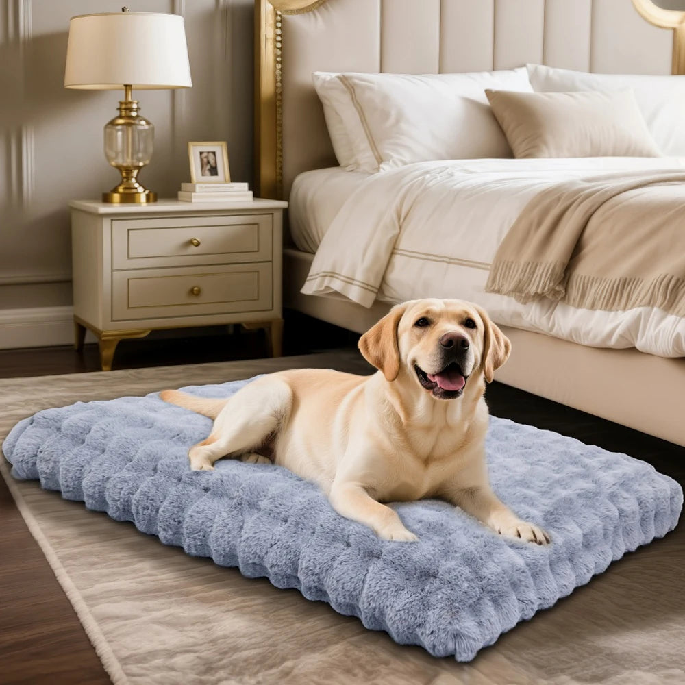 BORWARTCN Ultra Plush Dog Bed Soft Cushion Washable Mat