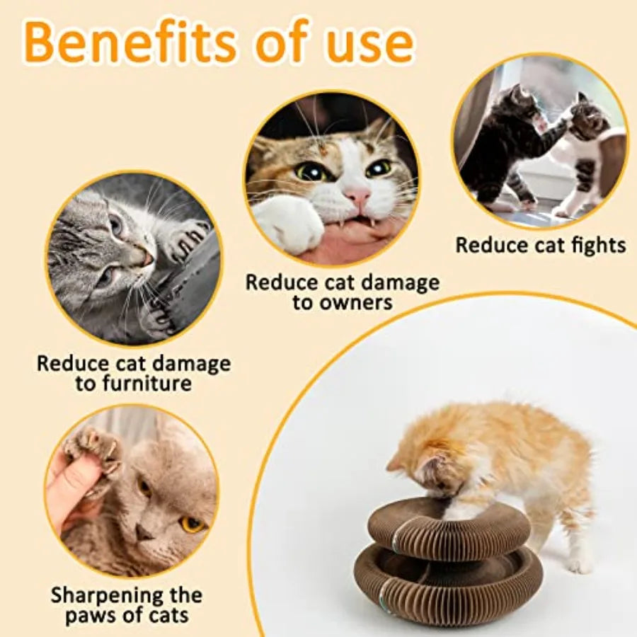 Magic Organ Cat Scratching Board And Accordion Toy Cardboard Slinky