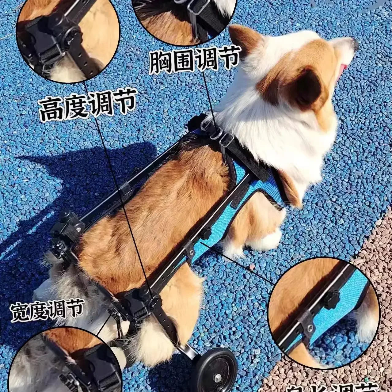 Adjustable Dog Wheelchair For Hind Leg Paralysis Large