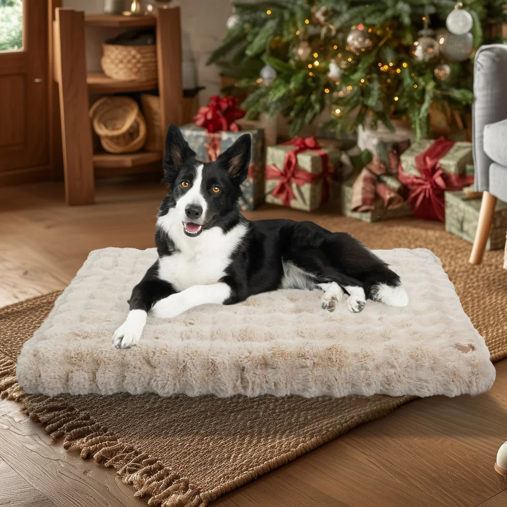 BORWARTCN Ultra Plush Dog Bed Soft Cushion Washable Mat
