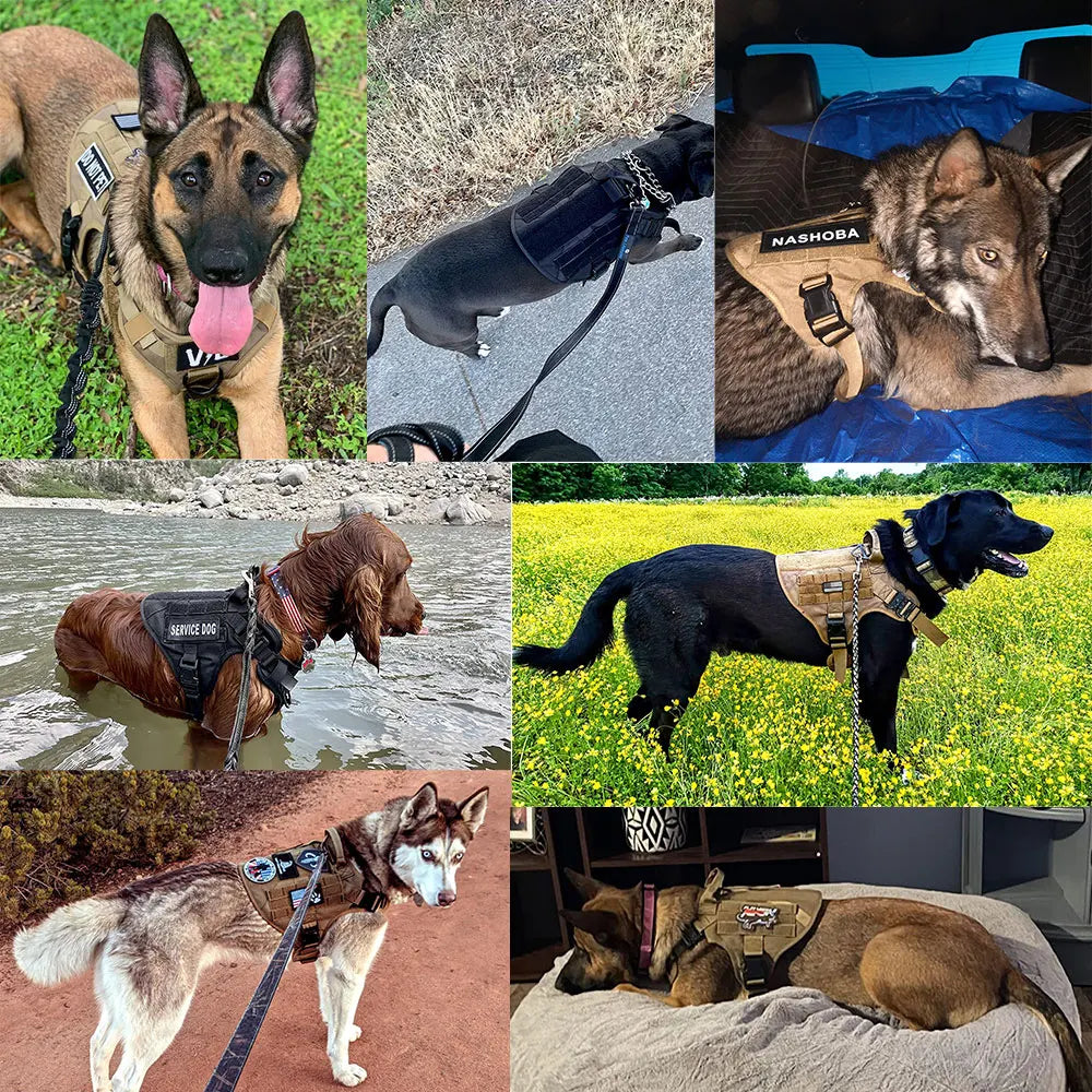 Military Dog Harness Leash Bags Set Pet Tactical Vest Harnesses Walking Training Hunting For Large Dogs German Shepherd