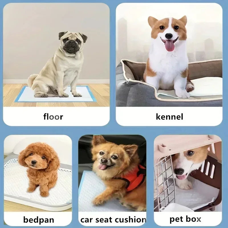 100/50/40/20PCS Absorbent Dogs Diapers Disposable Puppy Training Pee Pads Quick Dry Surface Mat Clean Cushion Dog Supplies
