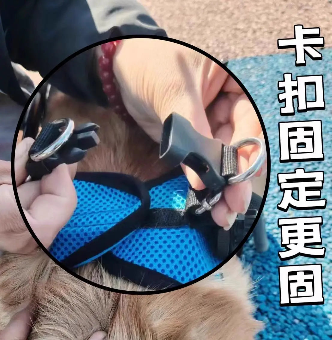 Adjustable Dog Wheelchair For Hind Leg Paralysis Large