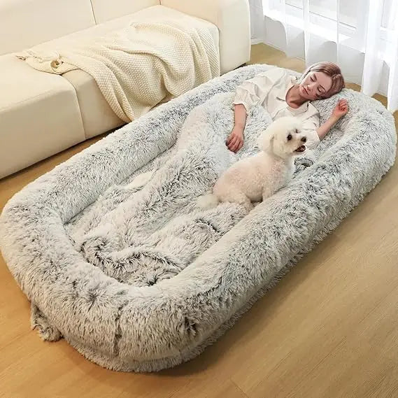 Orthopedic Dog Bed With Removable Cover