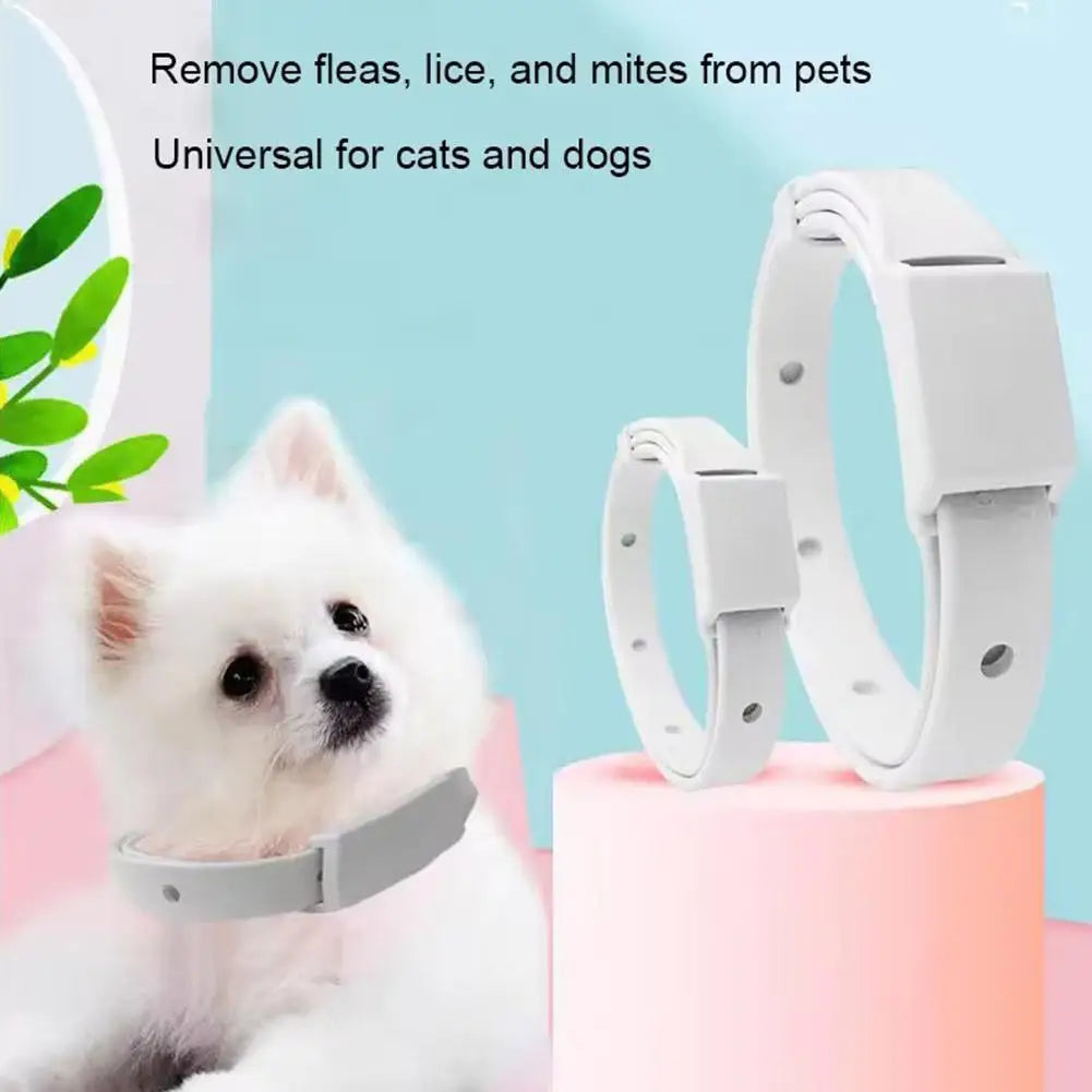 Anti Flea Tick Collar for Cats and Dogs 8 Month Protection