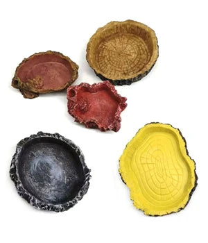 Choice Transparent Reptile Breeding Box For Lizards Insects Beetles Pet Habitat Acrylic