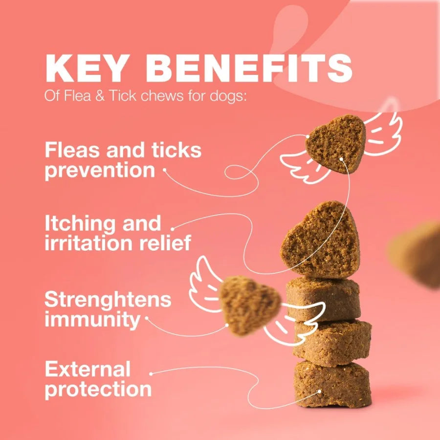 Dog Flea and Tick Treatment Chews Natural Flea Tick Prevention for Dogs Soft Treats Immune Support