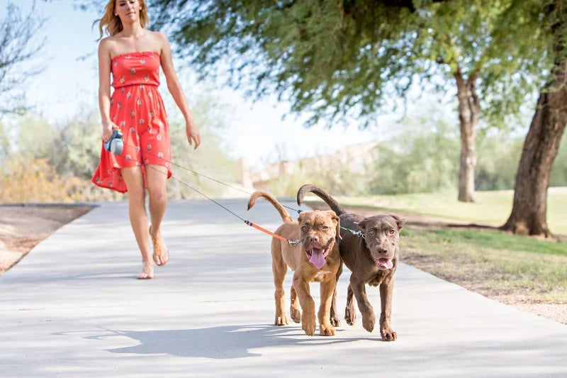 Retractable Dual Dog Leash With LED Light 360 Swivel