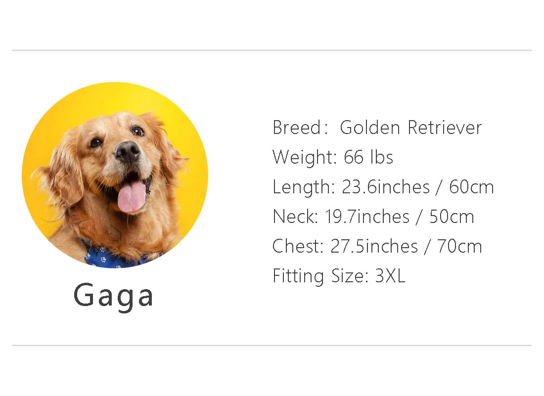 PETS TALE All Weather Dog Raincoat Waterproof Durable Coat