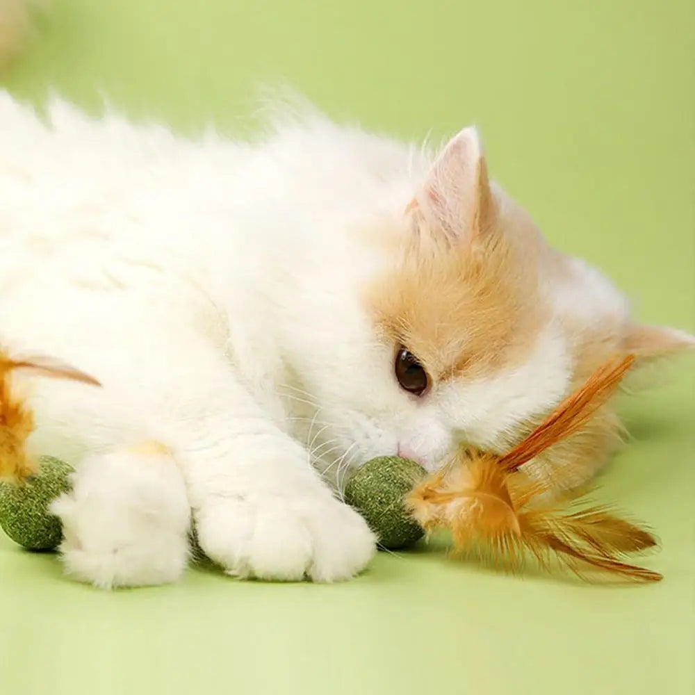 Choice Catnip Feather Balls Lickable Grass Snack Kitten Toys
