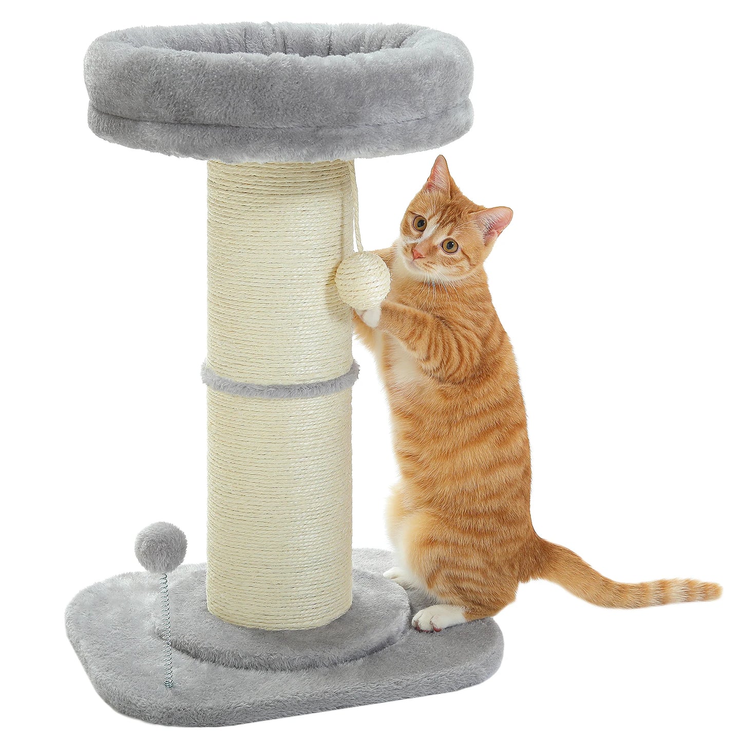 PAWZ Road Flower Cat Scratching Post With Removable Bed Indoor Cat Tower