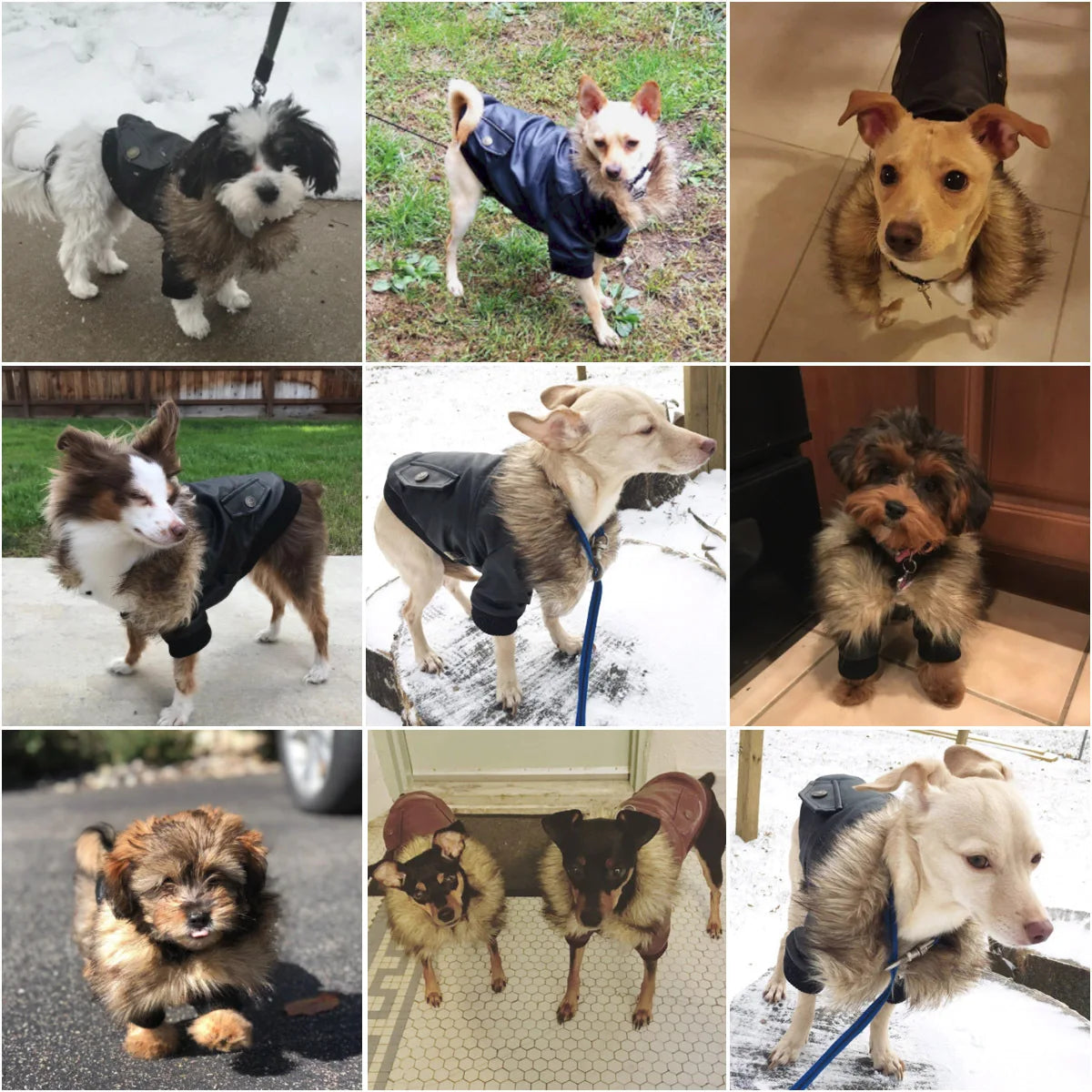 Waterproof PU Leather Dog Coat Small Medium Warm Jacket