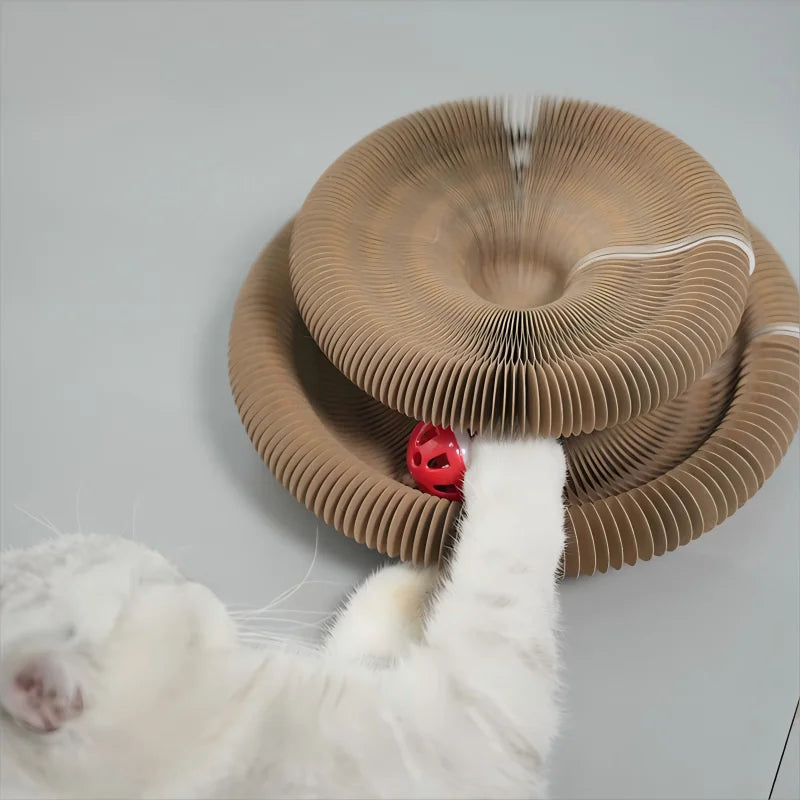 Foldable Cat Scratching Board Toy For Kittens Durable Recyclable Cardboard