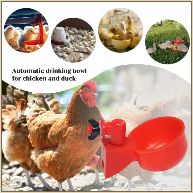 Free shipping Poultry Water Dispenser Chicken Goose Automatic Drinker Plastic Water Feeder Quail Drinker Farm Yard Accessories
