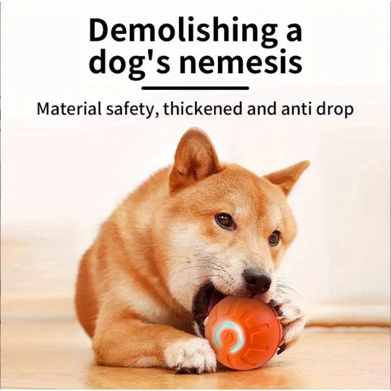1 5 10PCS Blue Orange Pet Toy Ball Plastic Rechargeable Cat and Dog Toy for Home and Outdoors